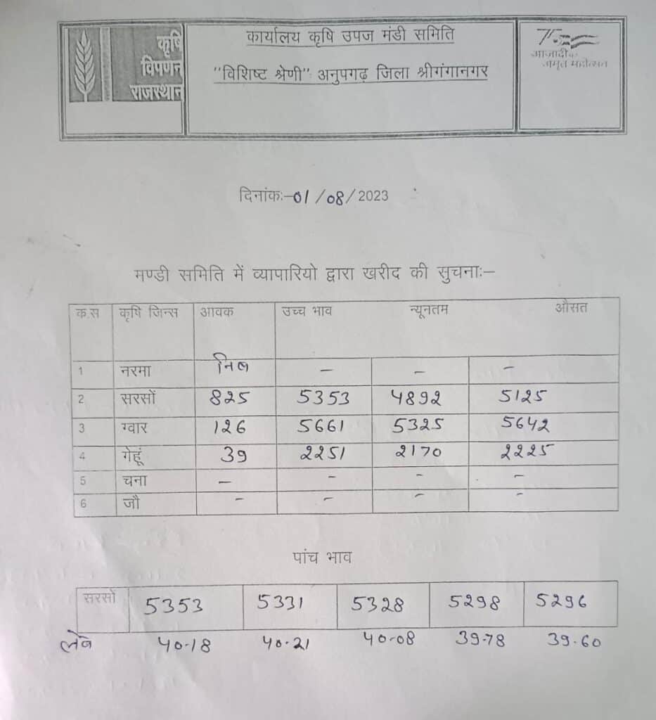 anupgarh mandi bhav 1 august