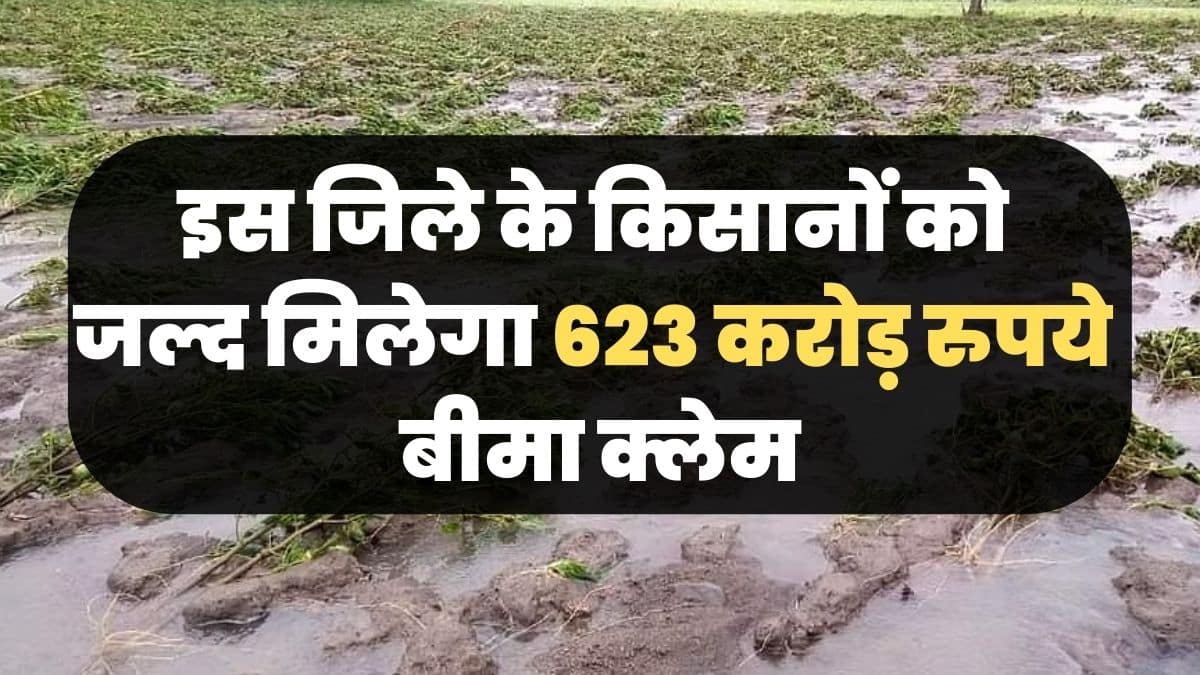 crore insurance claim