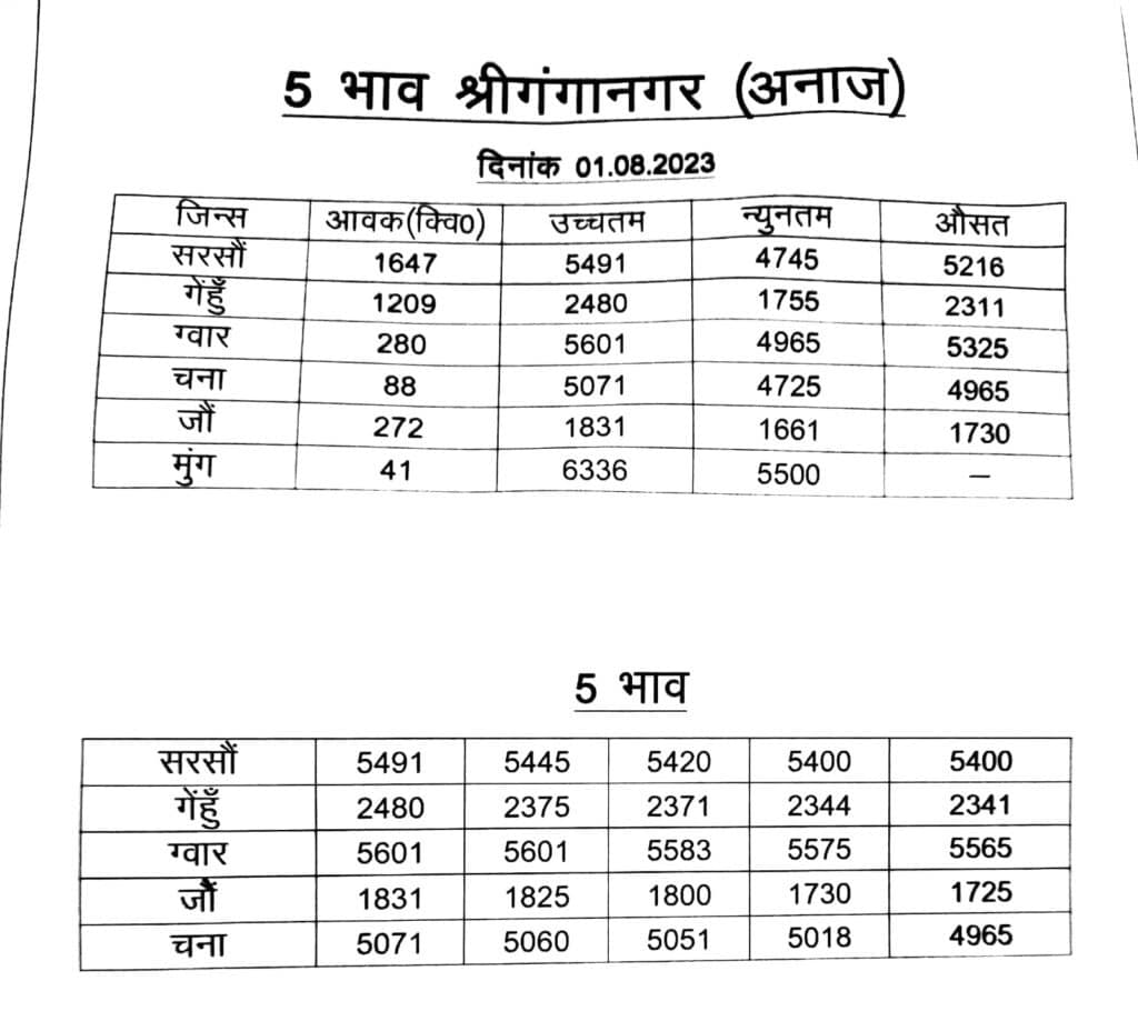 ganganagar Mandi bhav 1 august