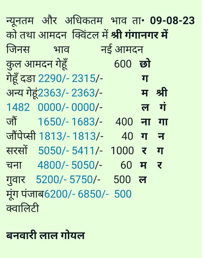 sri ganganagr mandi bhav 9 august