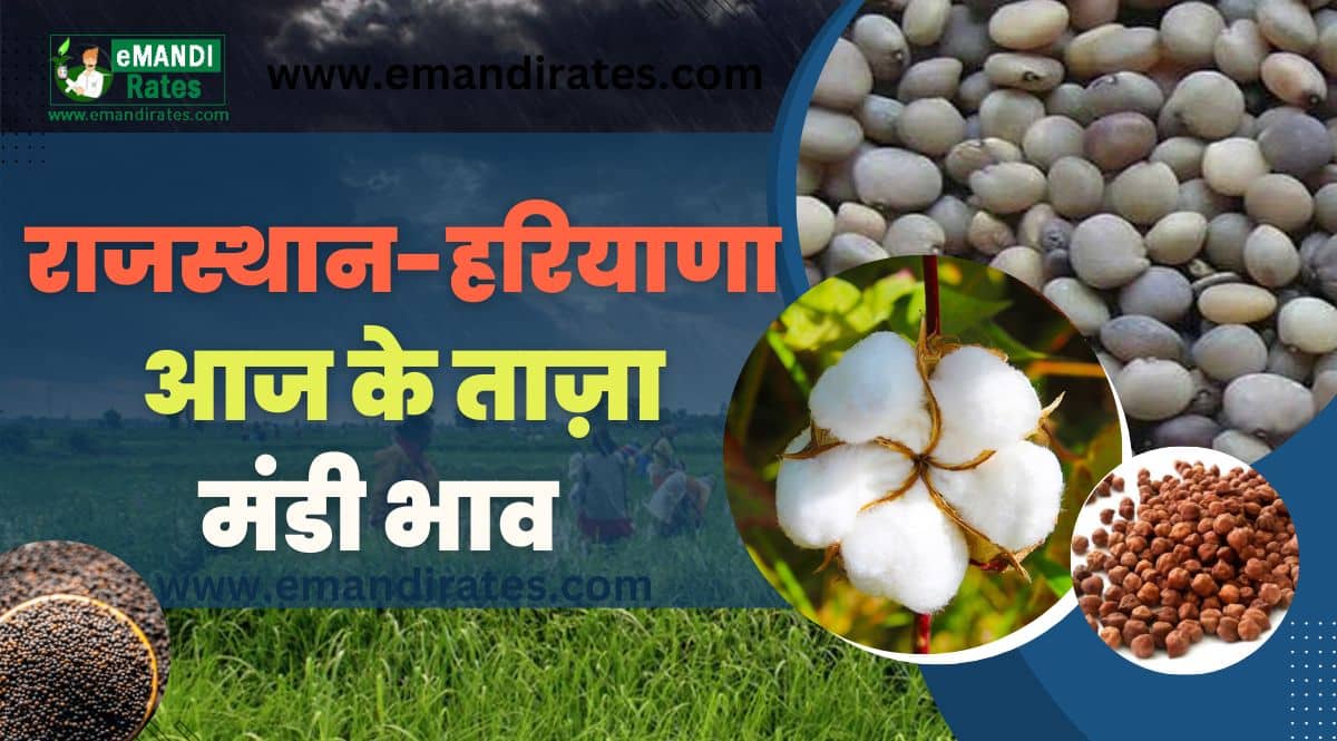 Aaj Ka Mandi Bhav