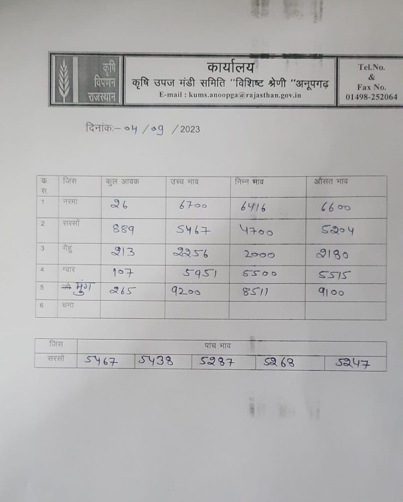 Anupgarh Mandi BHav 4 Sep 2023