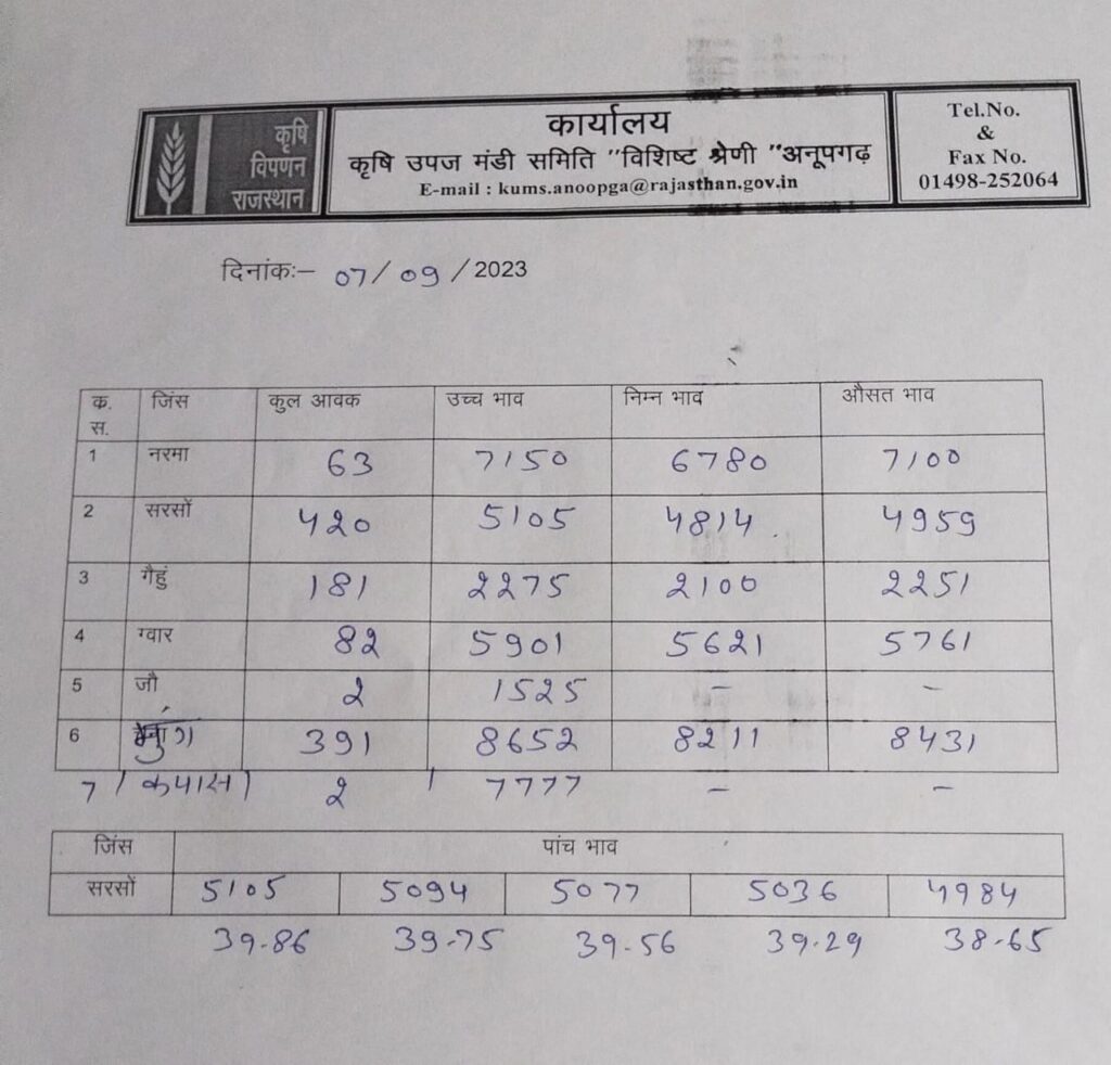 Anupgarh mandi bhav 7 september
