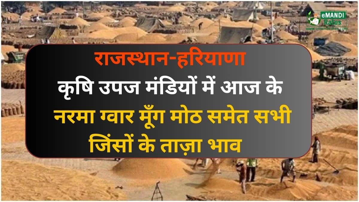 Rajasthan Haryana Mandi Bhav