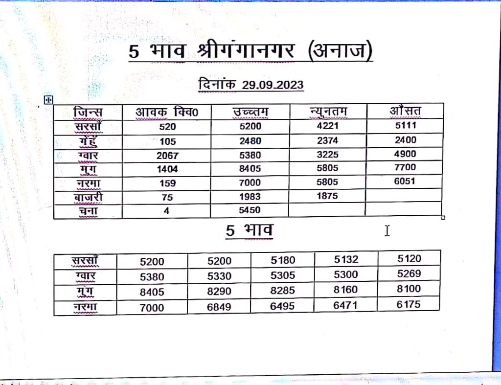 Sri Ganganagar Mandi BHav 29/09/2023
