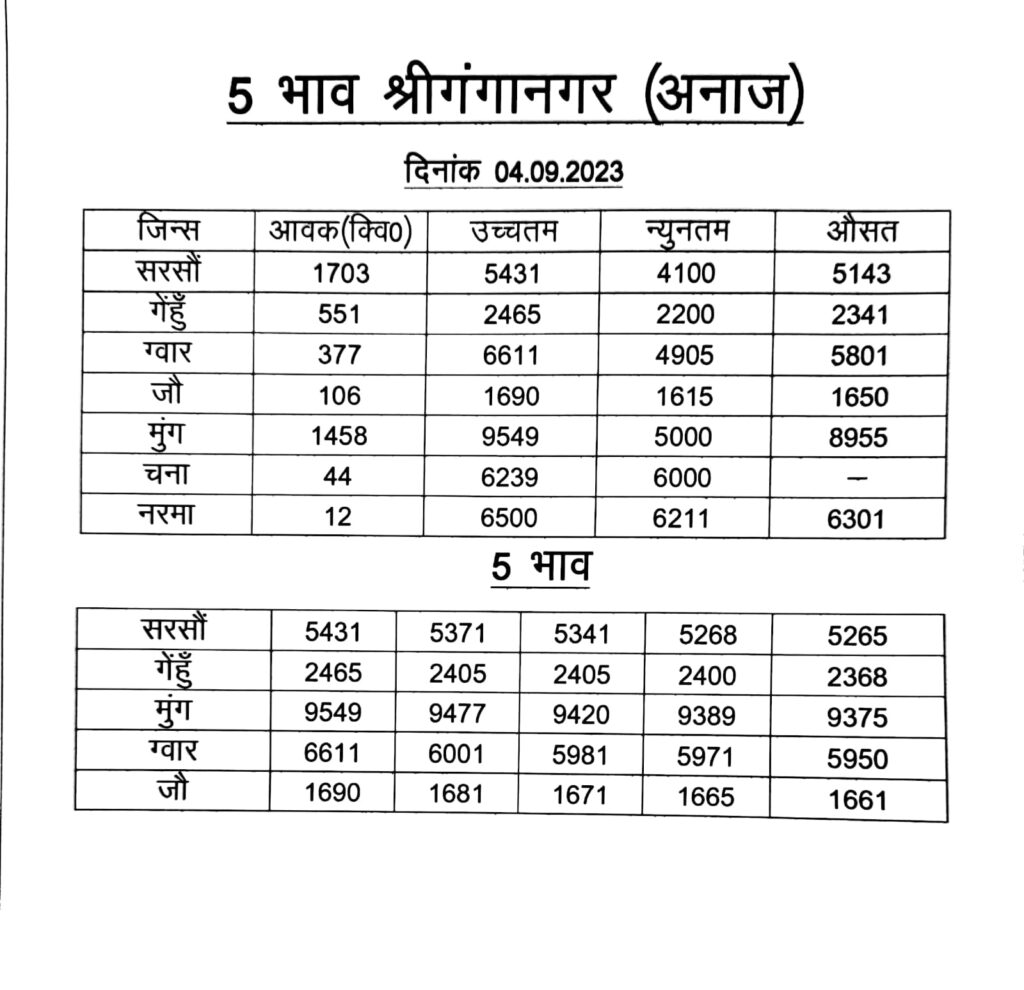 Sri Ganganagar Mandi Bhav 4 Sep
