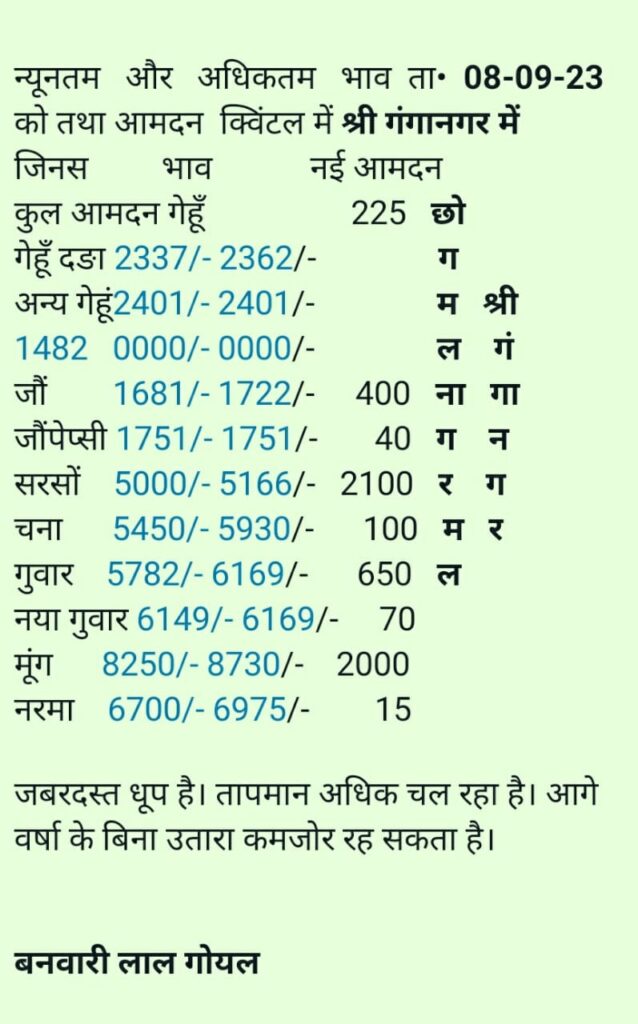 Sri Ganganagar Mandi Bhav 8 Sept
