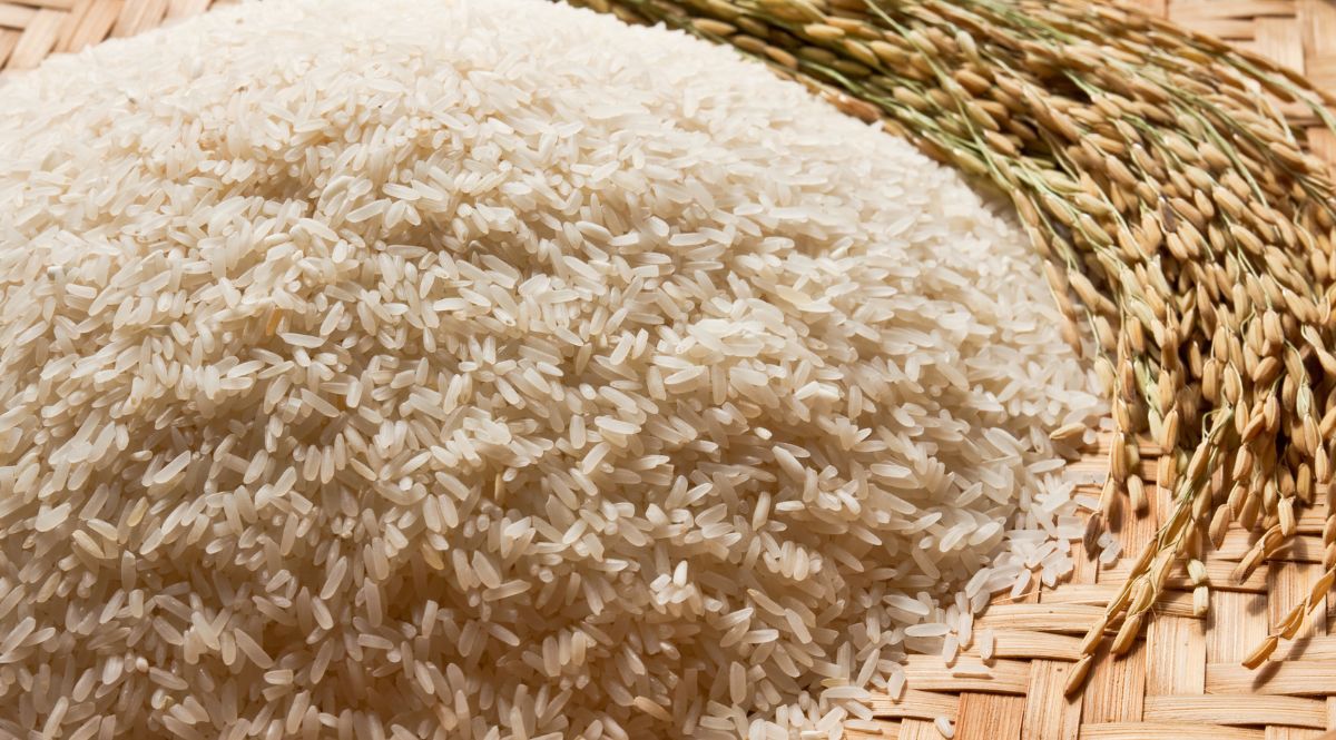 Basmati rice