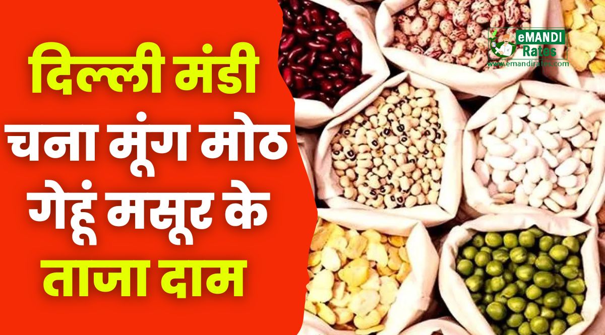 Delhi Mandi bhav live Update