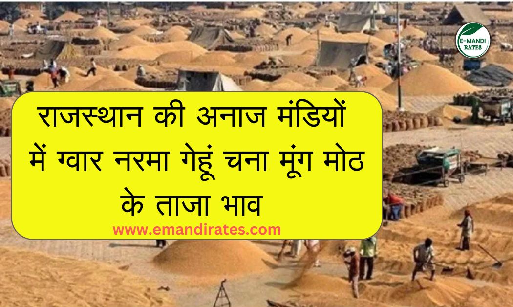 Rajasthan Mandi Bhav Today