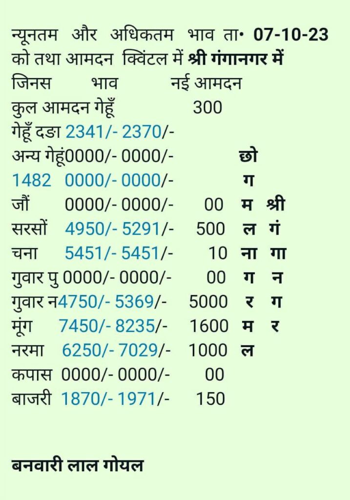 Sri Ganganagar anaj mandi bhav 7 october 2023