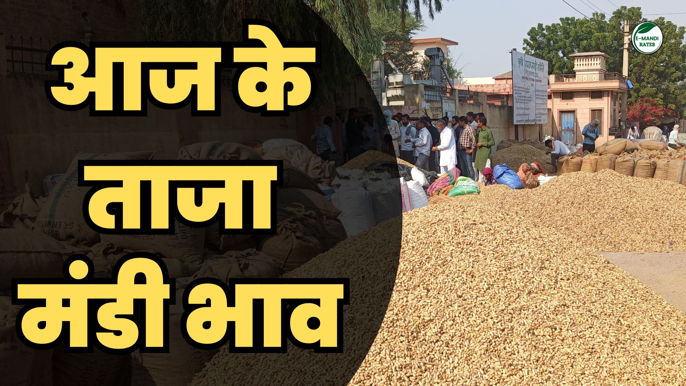 aaj ka taza anaj mandi bhav