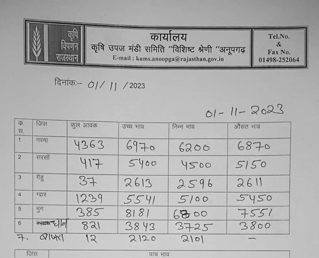Anupgarh mandi bhav 1 november.jpeg