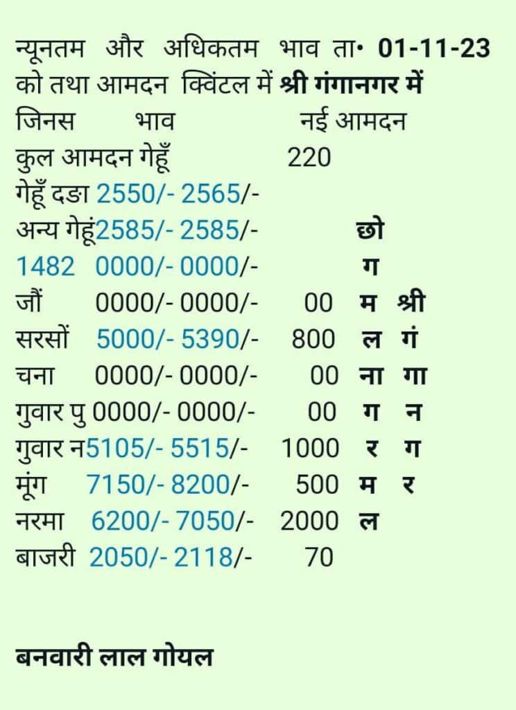 Sri Ganganagar mandi bhav 1 november