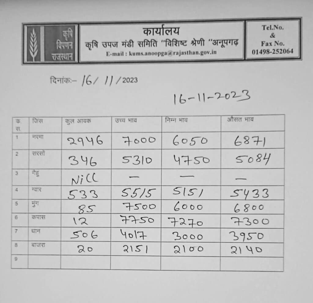 anupgarh mandi bhav
