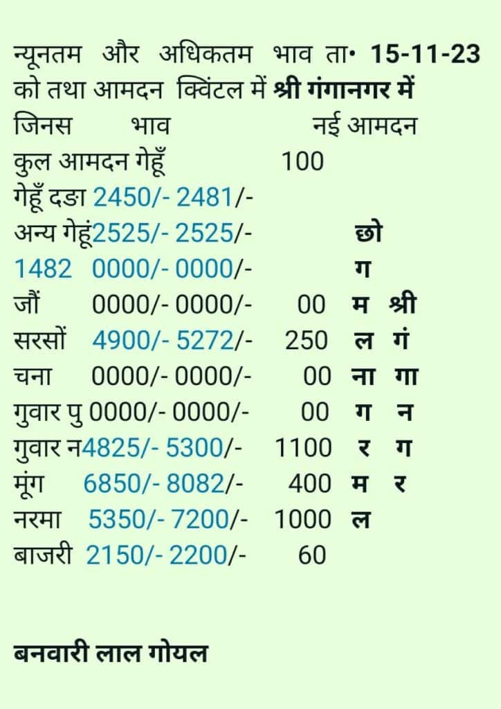 श्री गंगानगर मंडी भाव 15/11/2023