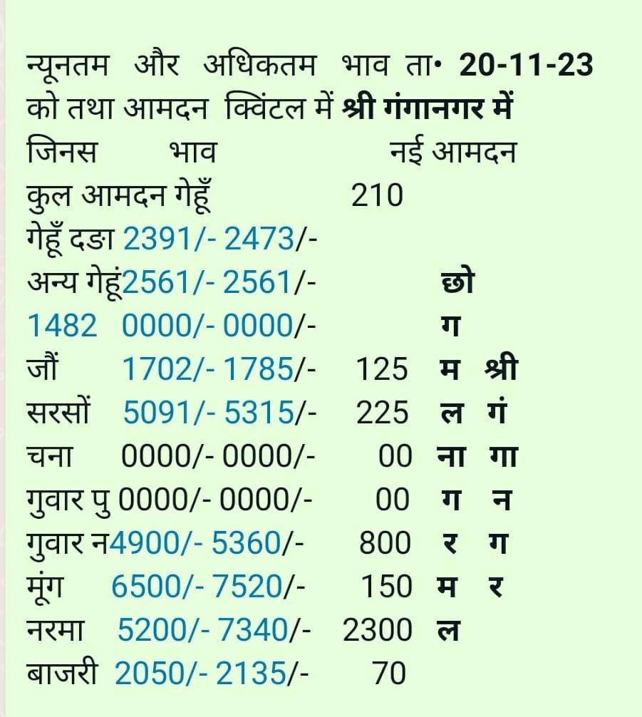 श्री गंगानगर अनाज मंडी भाव 20-11-2023