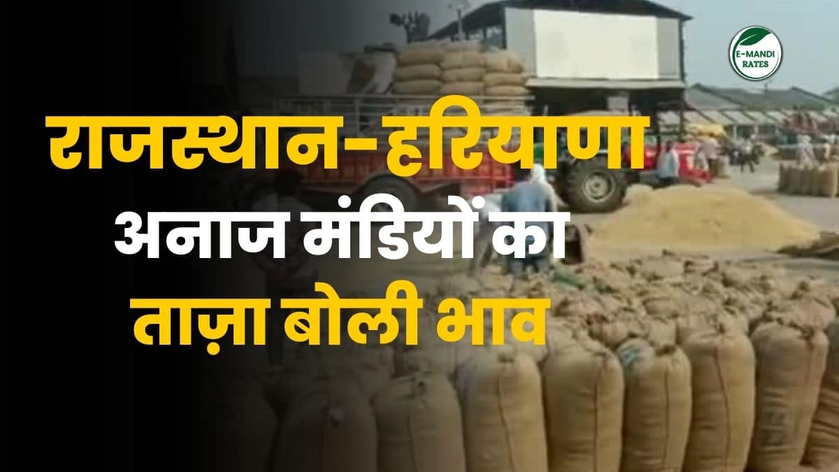 Aaj Ka Mandi Bhav Today
