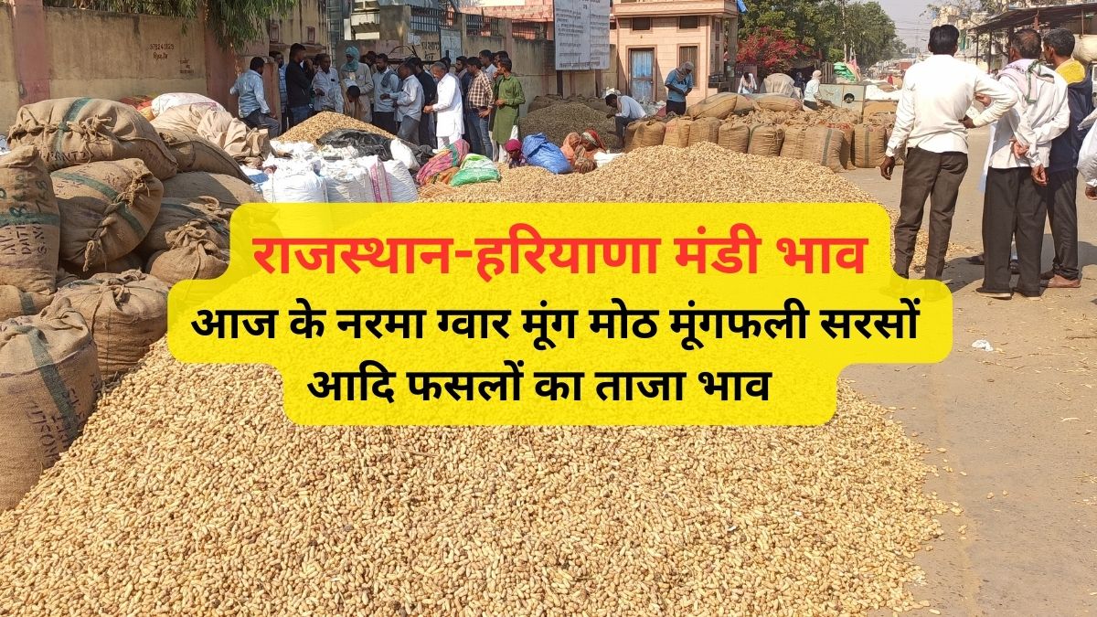 Aaj Ka Mandi Bhav