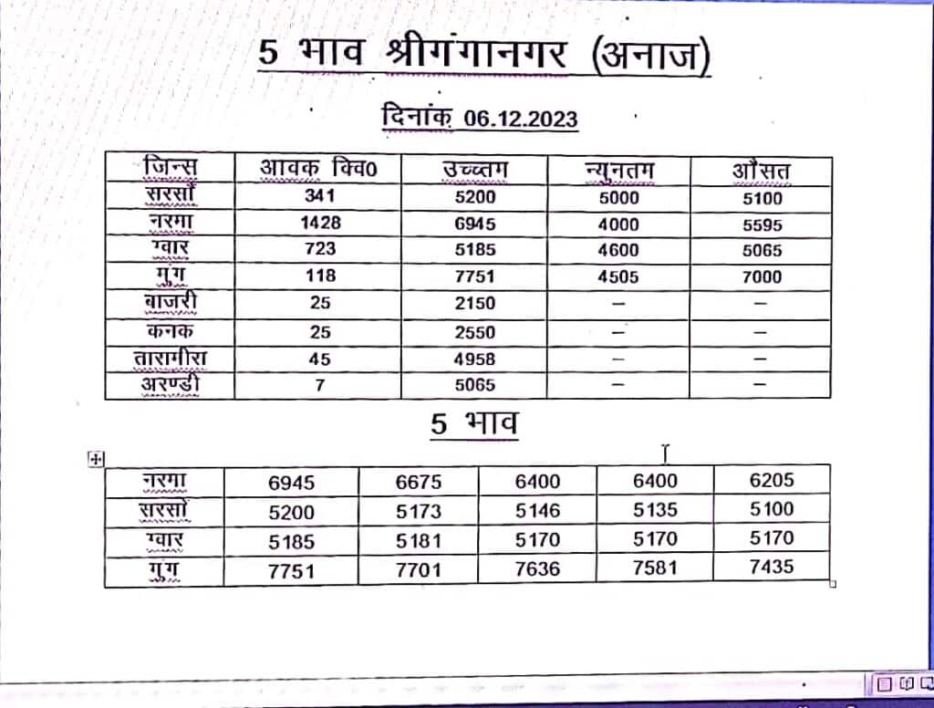 Sri Ganganagar Anaj Mandi Bhav 6th December 2023