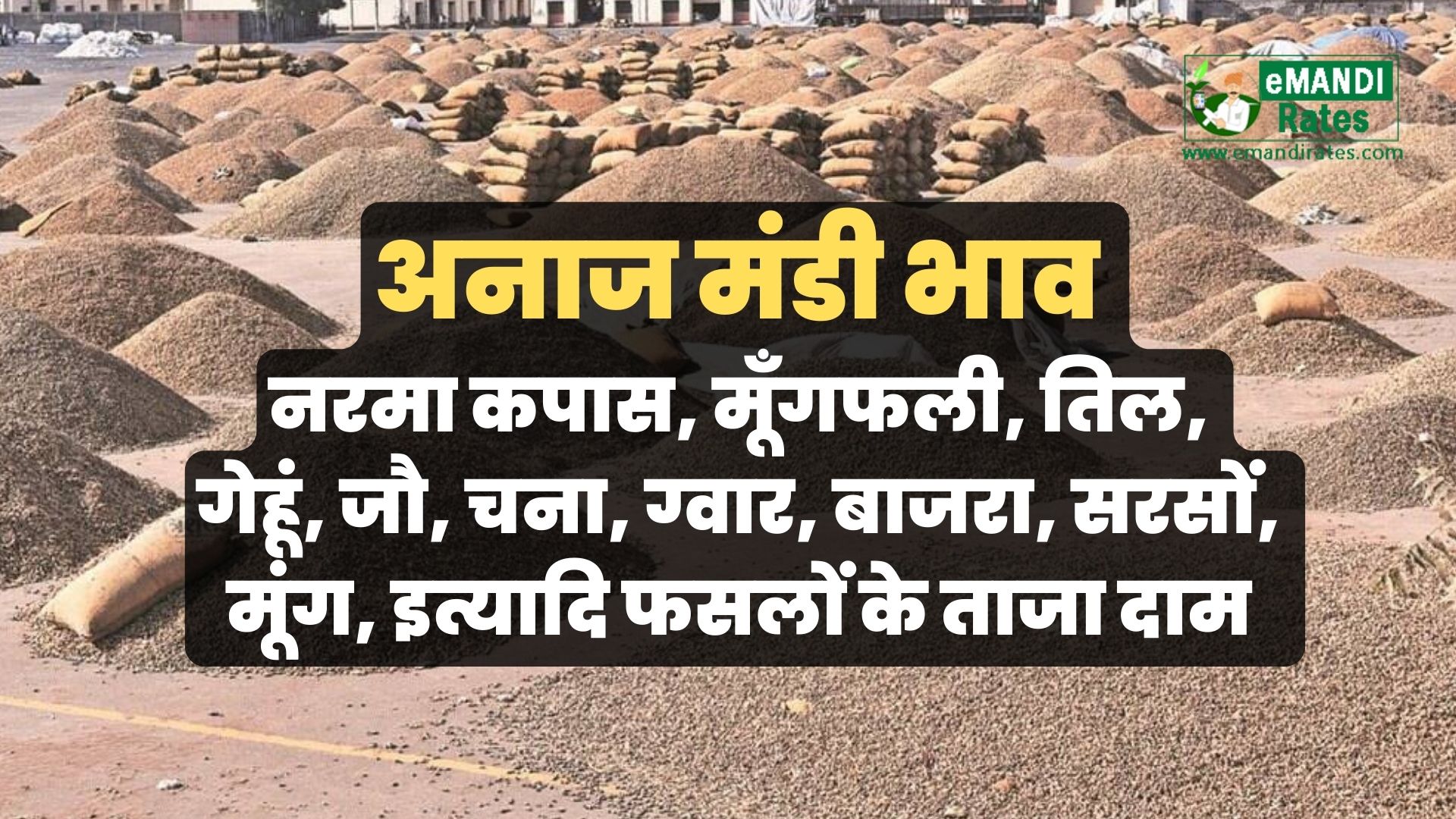 aaj ka taza mandi bhav update