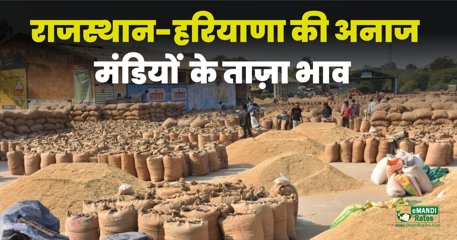 Mandi Bhav Today