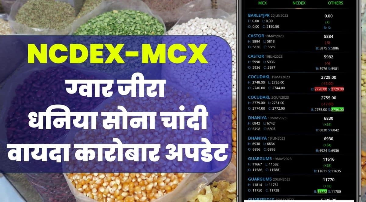 commodity Vayda Bazar Bhav