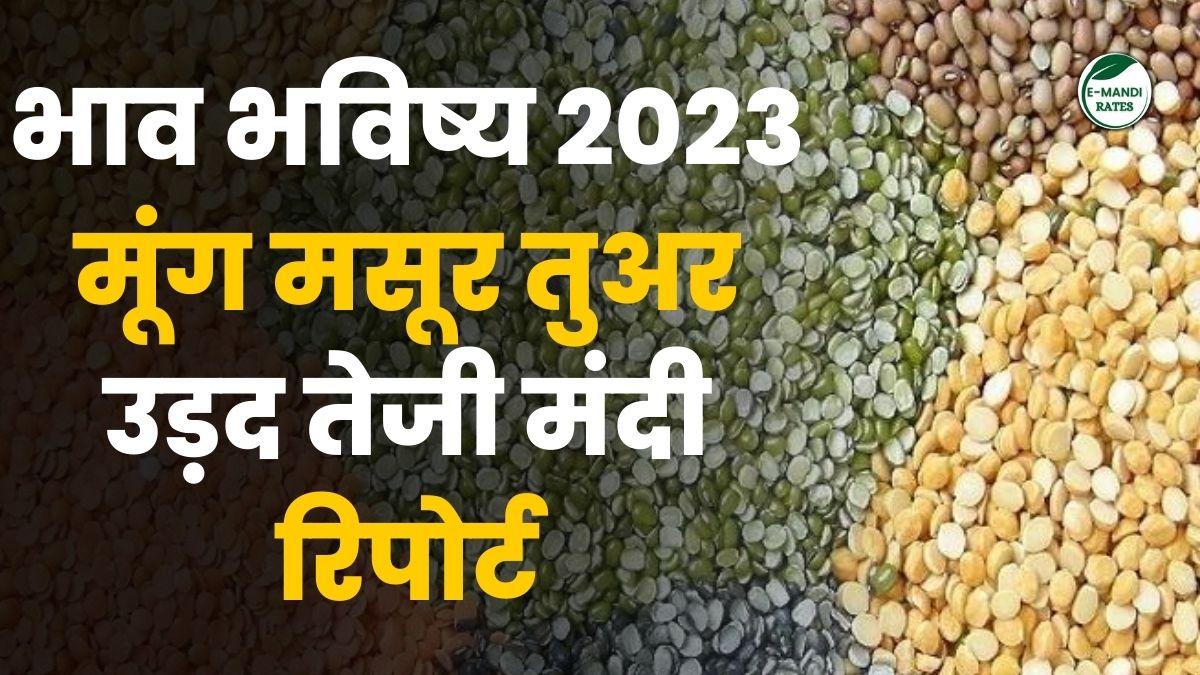mung masur tuar urad mandi bhav future 2023