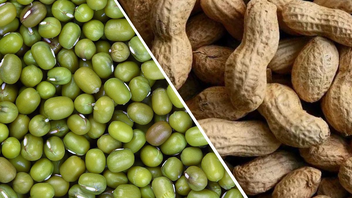 mung and groundnuts