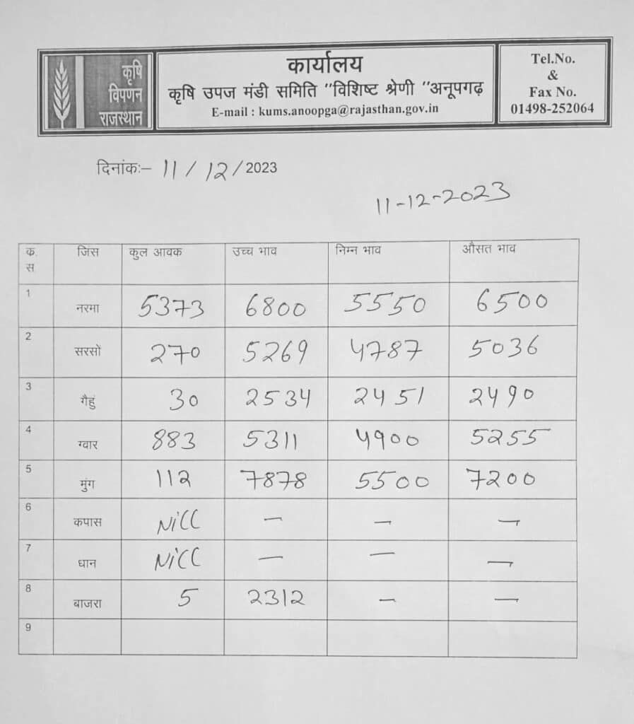 अनूपगढ़ मंडी भाव 11 december