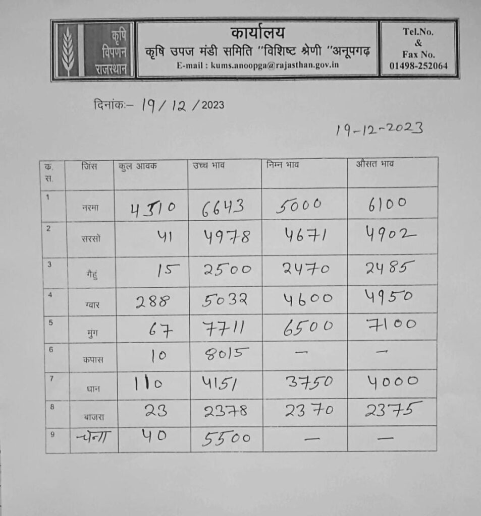 अनूपगढ़ मंडी भाव 19-12-2023
