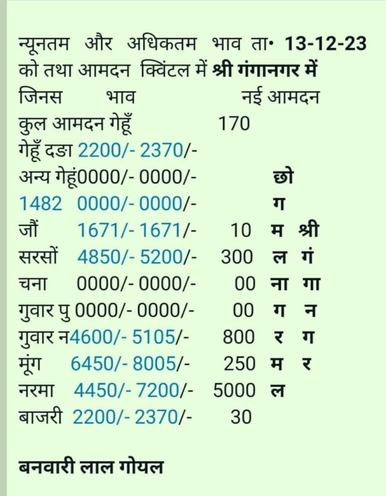 श्री गंगानगर मण्डी का भाव 13/12/2023