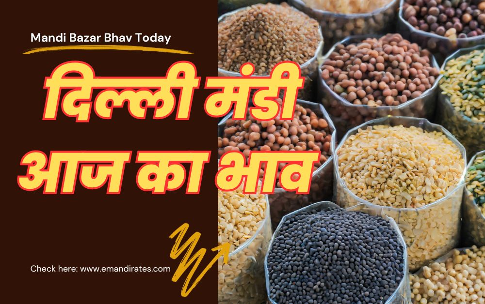 Delhi Mandi Bazar Bhav Today