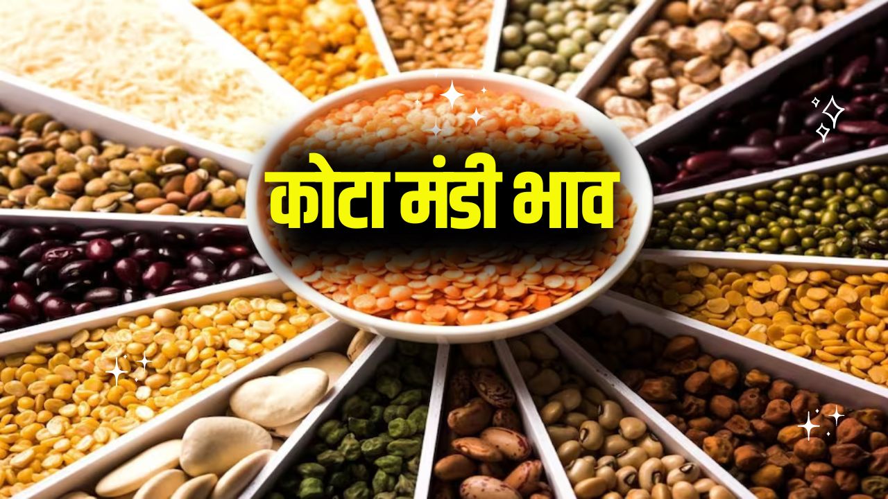 Kota Mandi Bhav Today Update