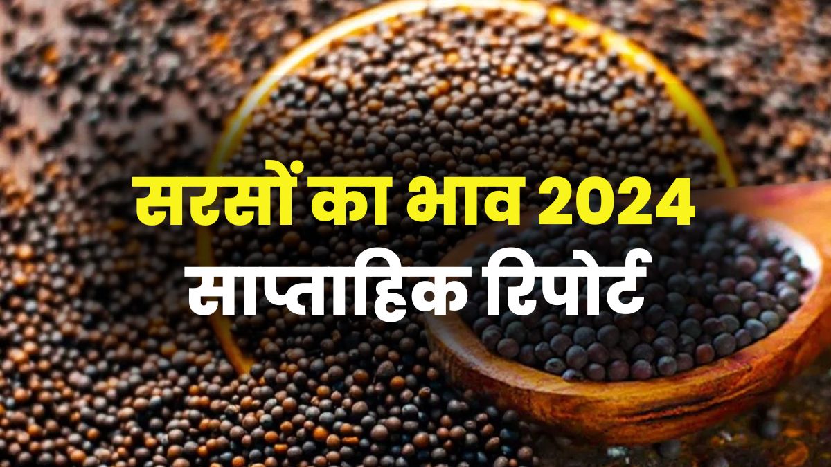 Mustard Future 2024