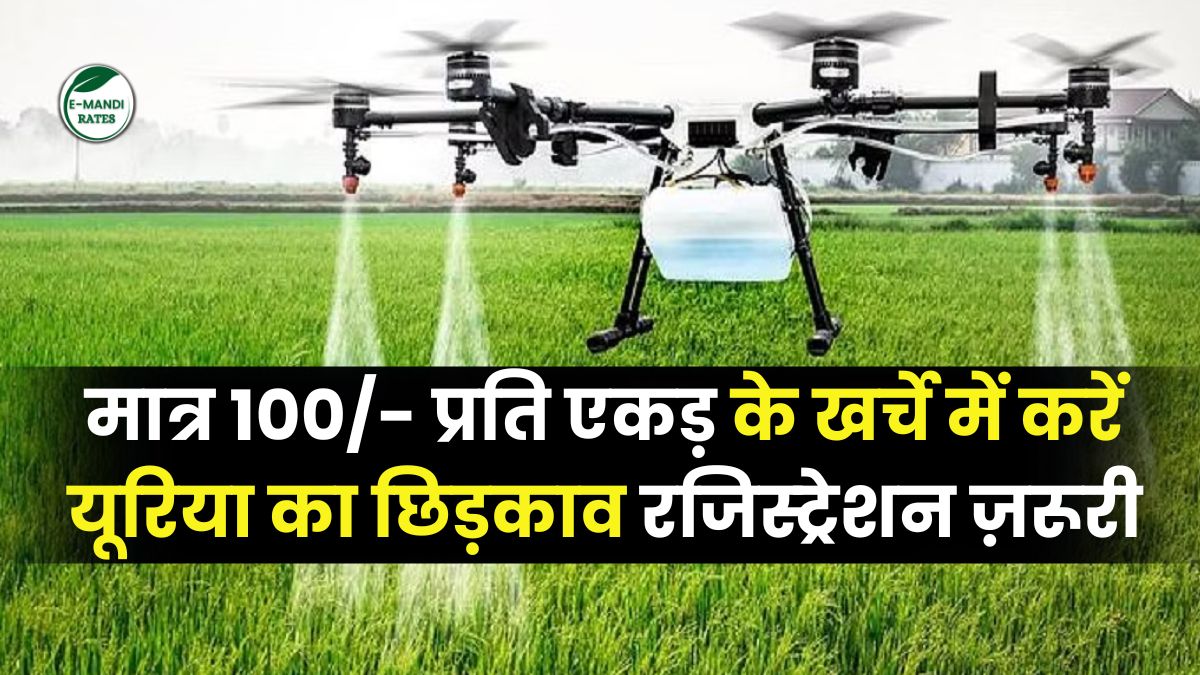 Nano urea to be sprayed in fields through drone, registration required on portal