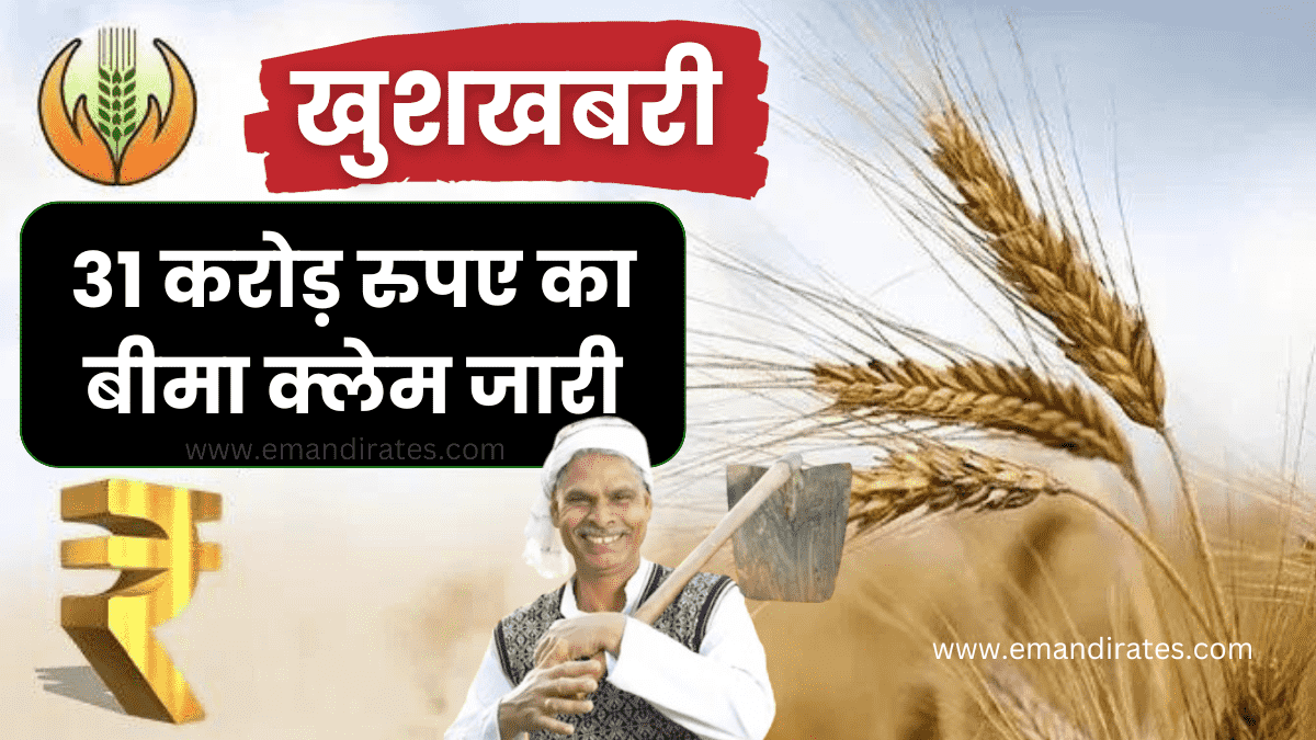 Rabi Season Claim Haryana 2024