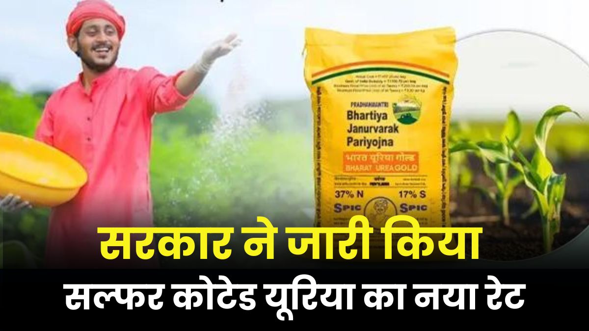 Urea Gold Fertilizer Price 2024