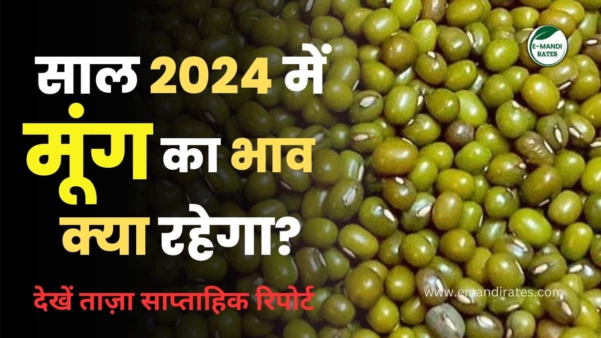 What will be the price of Moong in 2024?