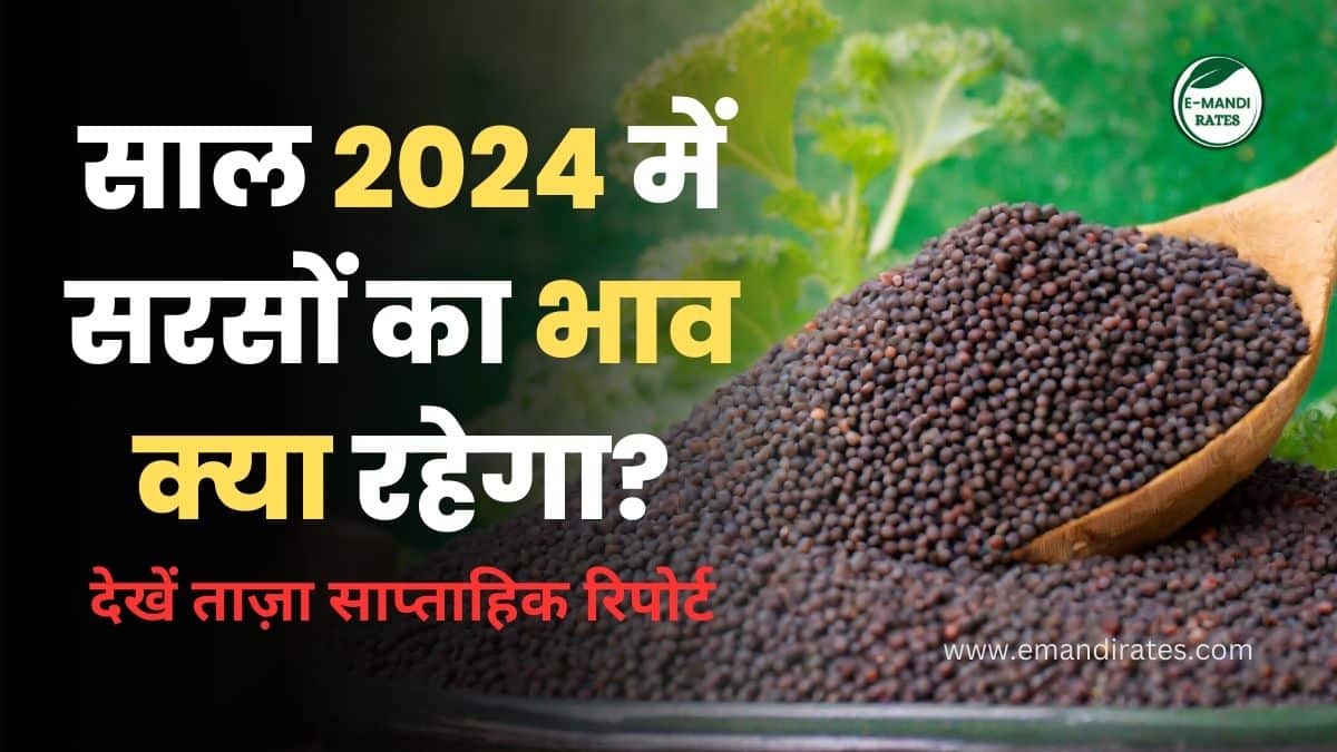 What will be the price of mustard in 2024