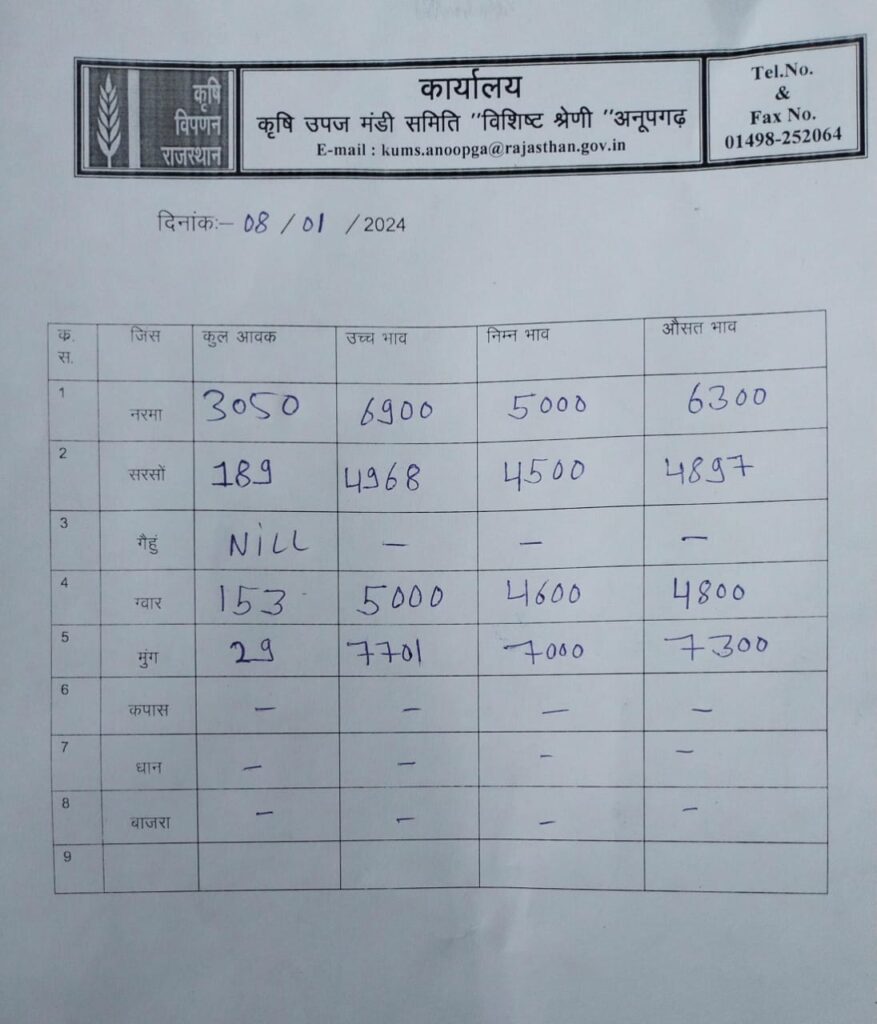 अनूपगढ़ मंडी भाव 8/01/2023