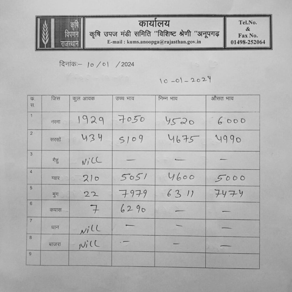 अनूपगढ़ मंडी भाव 10/01/2024