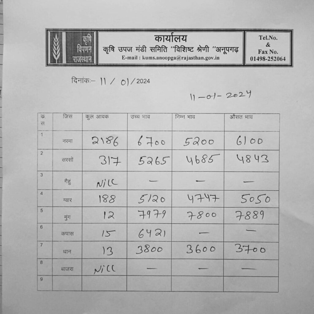 अनूपगढ़ मंडी भाव