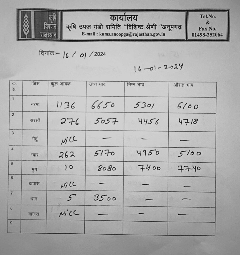 अनूपगढ़ मंडी का भाव आज