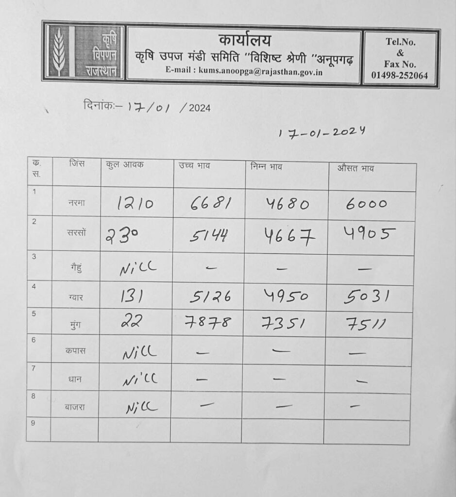 अनूपगढ़ मंडी रेट 17-01-2024