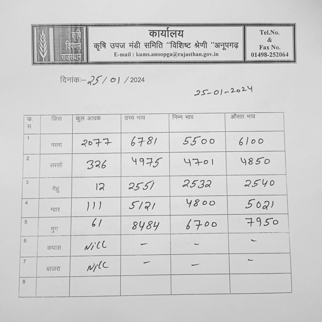 अनूपगढ़ मंडी का भाव 25-01-2024