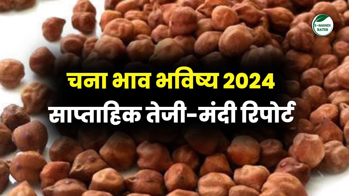 gram price future 2024