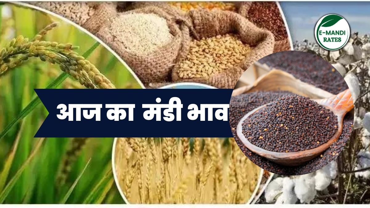 mandi bhav 2024