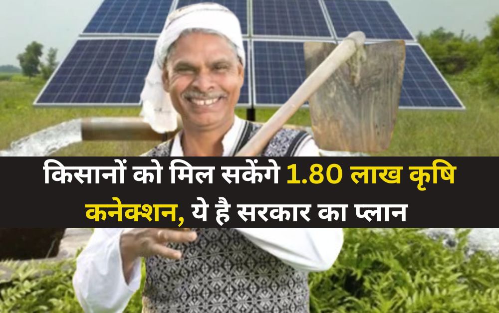 solar plant agriculture connection