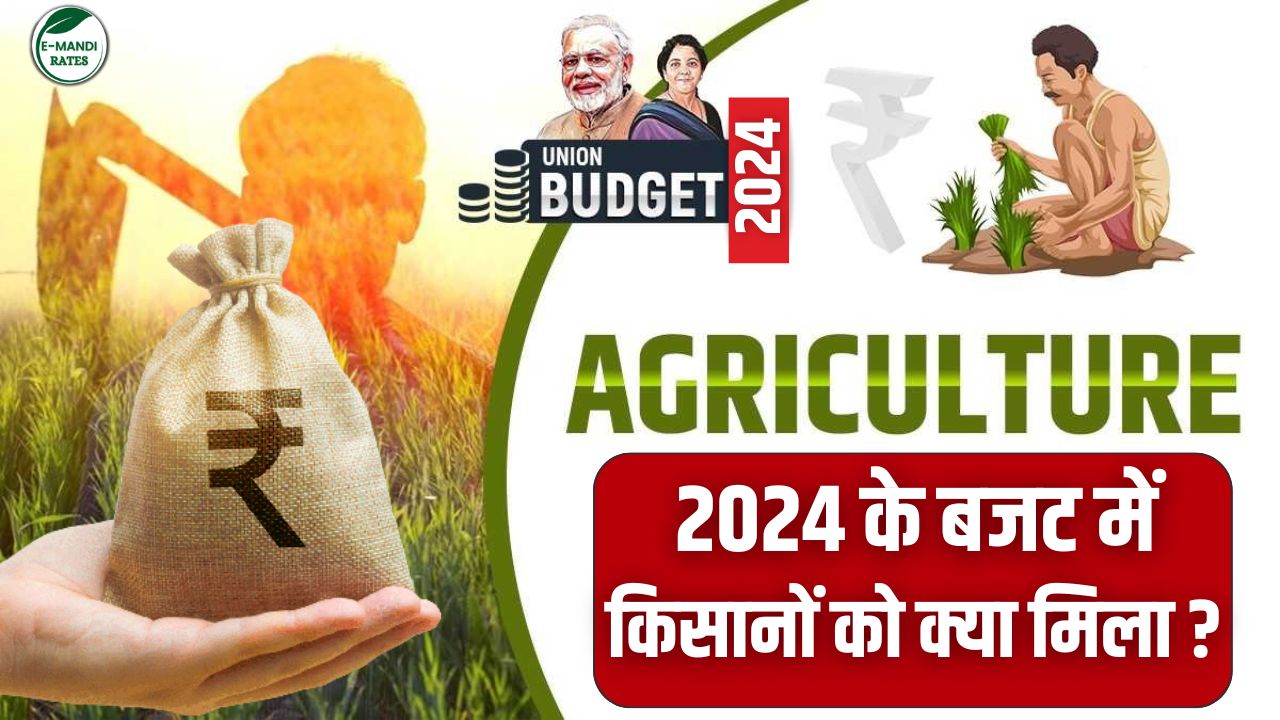 Agriculture Budget 2024 Farmers